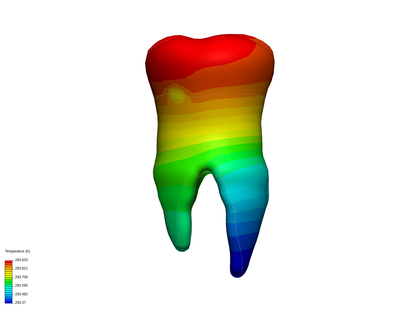 teeth image