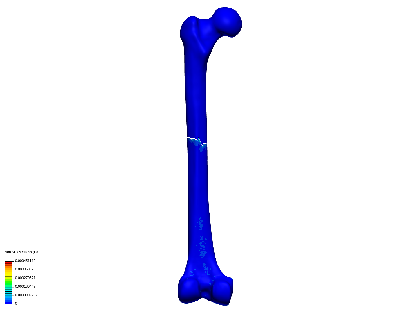 Bone test 2 image