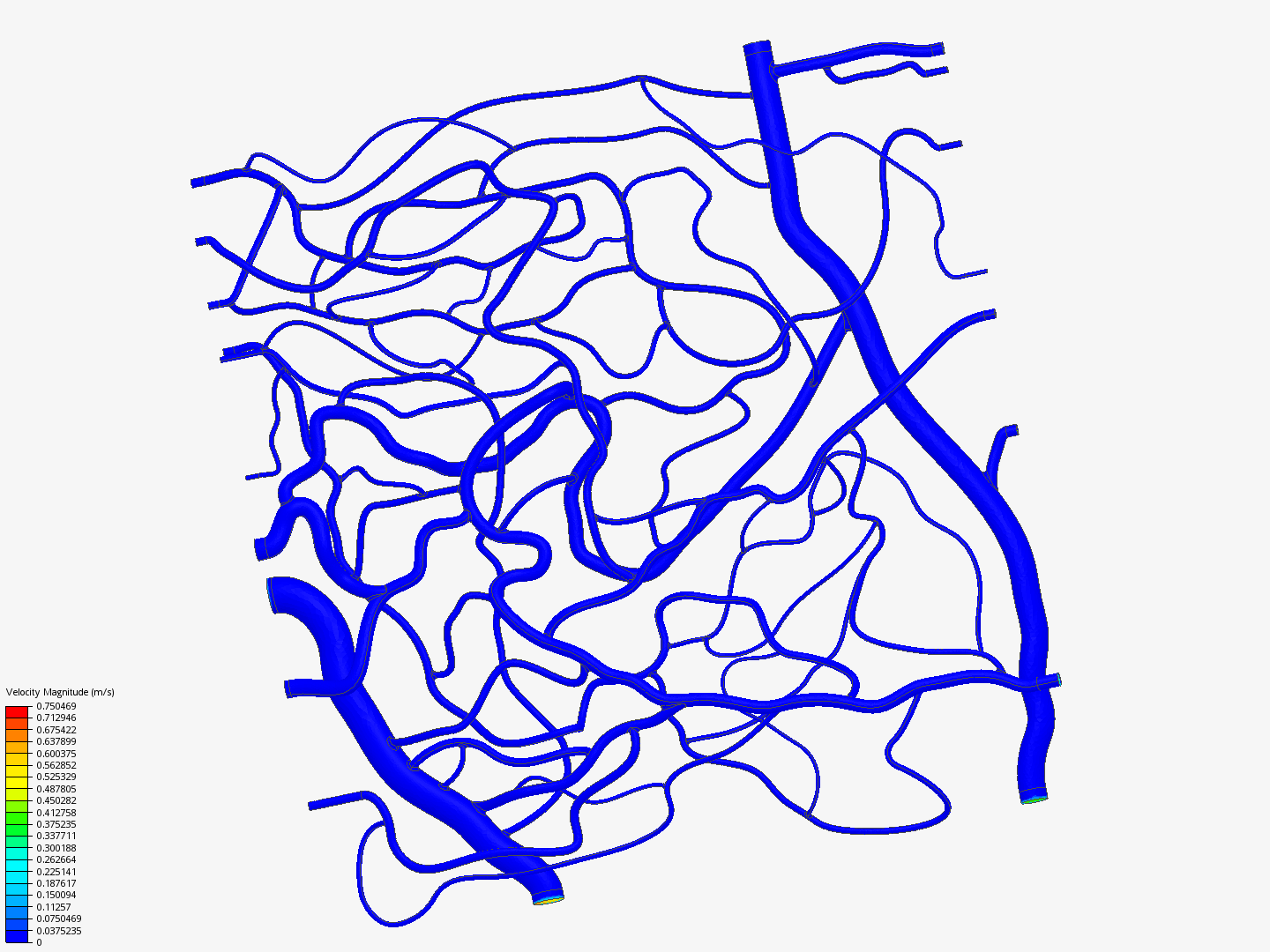 retina network image