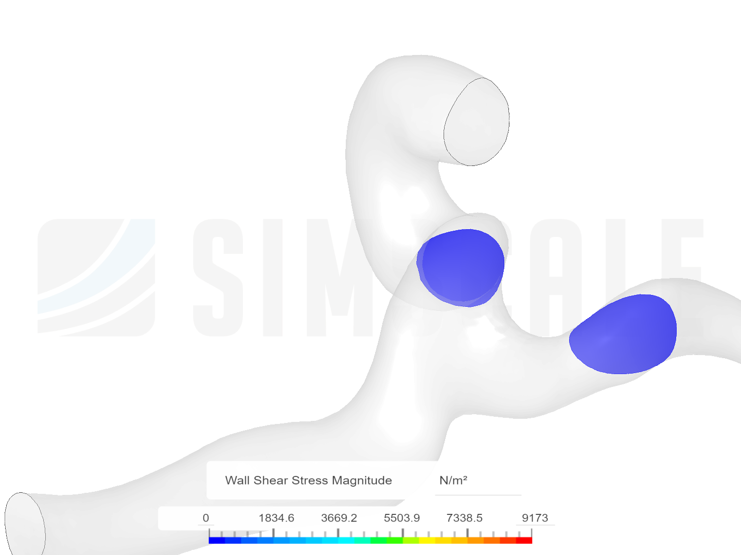 biomedical simulation project image