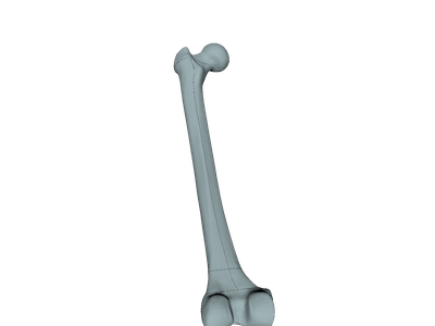 Femur_by_ahmedhussain18_from_Onshape image