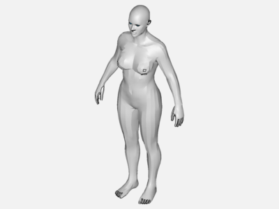 Human Body - Copy image