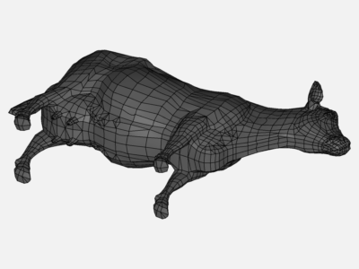 Aerodynamics of a cow (VACA) image