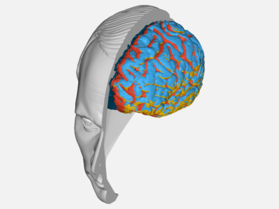 BLood brain barrier image
