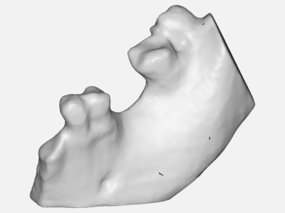 bone model image