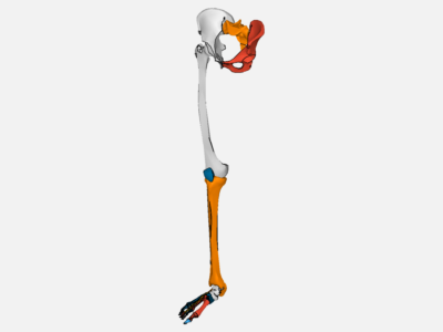 Knee Joint Simulation image