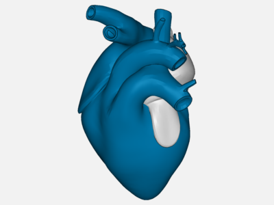 3D Heart image