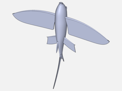 Aero Project 1 - Flying Fish image