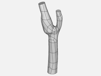 simulation of blood flow in bifurcated carotid artery - Copy image