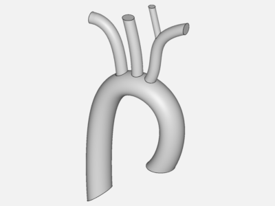 Aorta Flow Model image