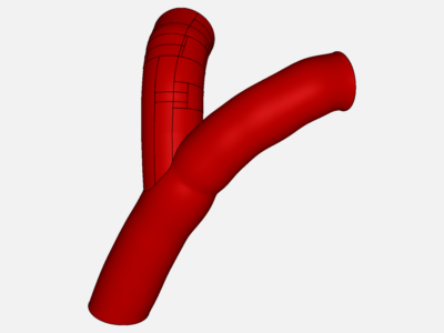 Atherosclerosis - CAD simulations image