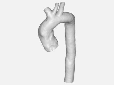 New aorta image