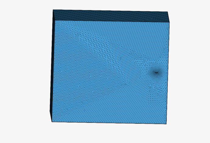 generated mesh