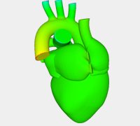 human heart simulation