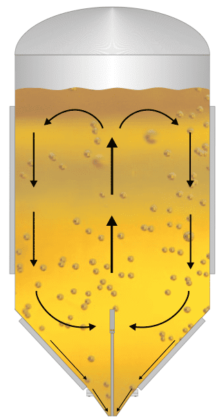 Fermentation during beer brewing, natural convection process