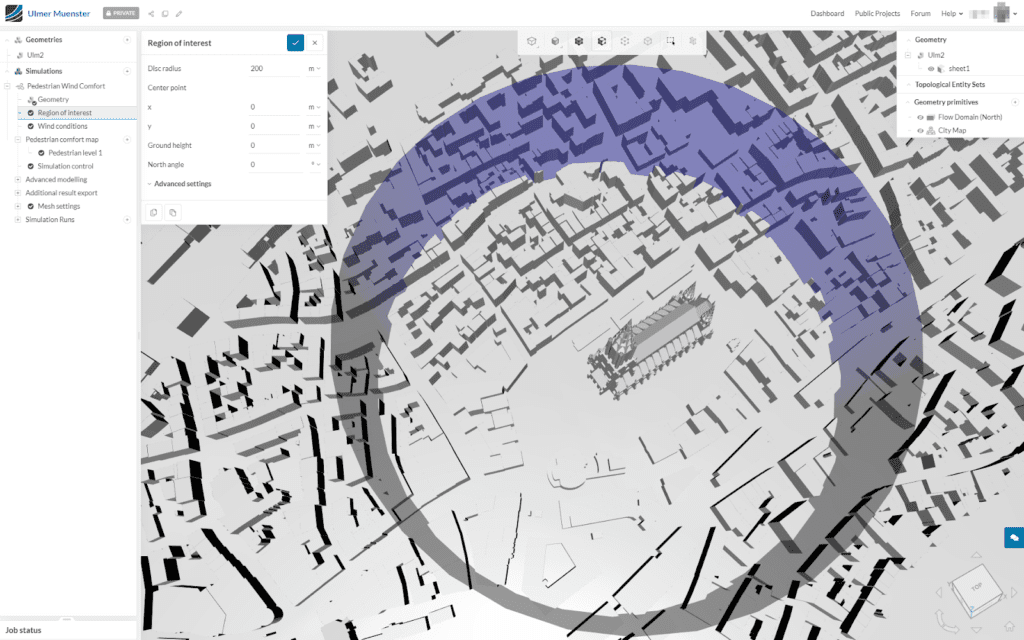 defining the region of interest for the ulm minster simulation 