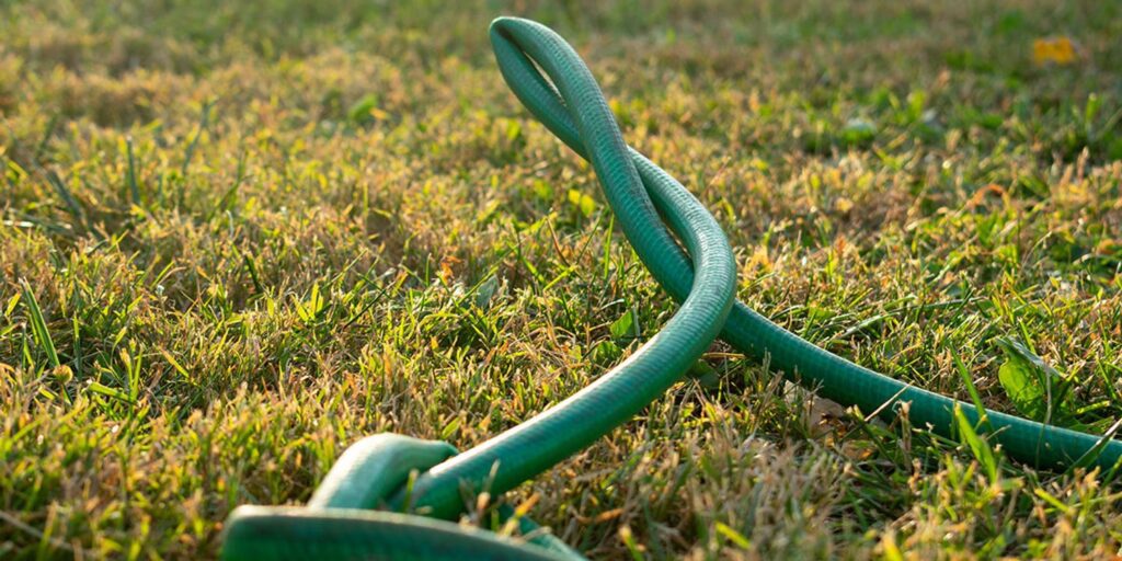 A green, tangled garden hose on grass